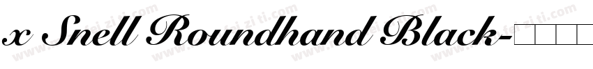 x Snell Roundhand Black字体转换